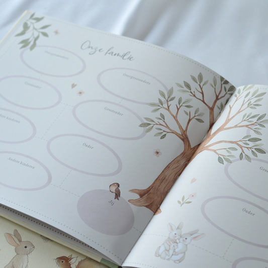 Baby’s eerste jaar – Een boek vol herinneringen