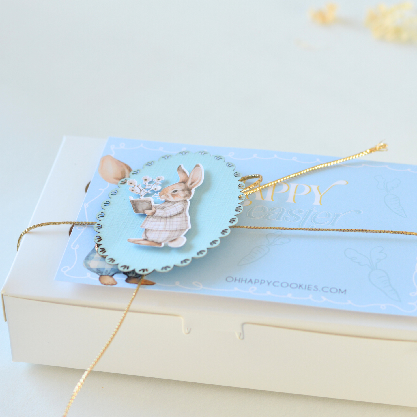 2 Paas Koekjes | Easter Edition