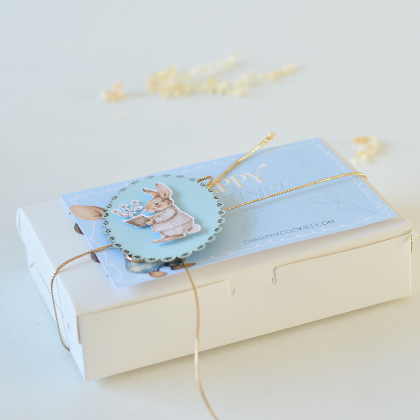 2 Paas Koekjes | Easter Edition